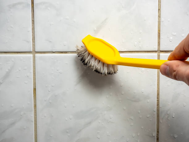 Best Industrial Mold Remediation in Westmont, IL